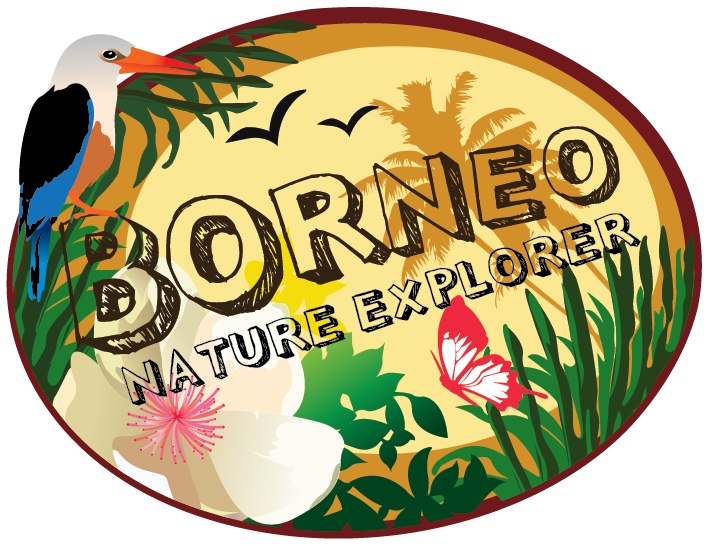 Borneo Nature Tours